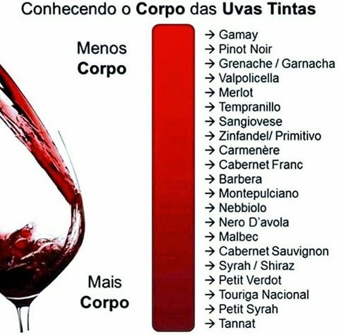 Blog Emp Rio Augusta Conhecendo O Corpo Das Uvas Tintas