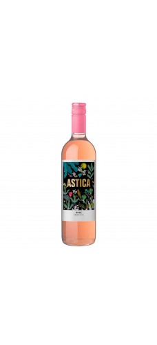 ASTICA TRAPICHE Rose