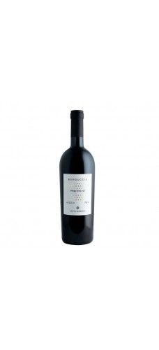 SANTA ISABELLA BORGUCCIO Primitivo IGT