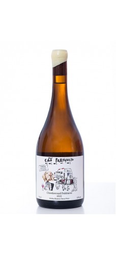 Cão Perdigueiro MedCão Chardonnay Trebbiano