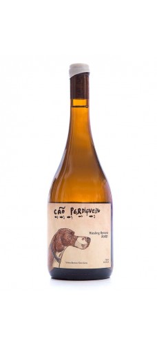 Cão Perdigueiro Riesling Renano