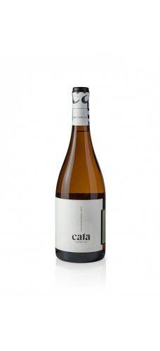 CATA Terroir Sauvignon Blanc 