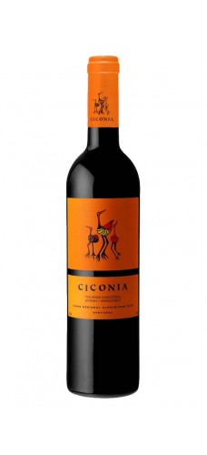 CICONIA Tinto