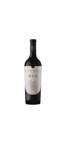 FLOR D'PENALVA DOC PREMIUM Tinto