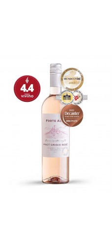 VIGNETI DELLE DOLOMITI IGT Pinot Grigio Rose 