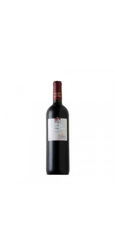 SAN PEDRO DE YACOCHUYA Malbec 