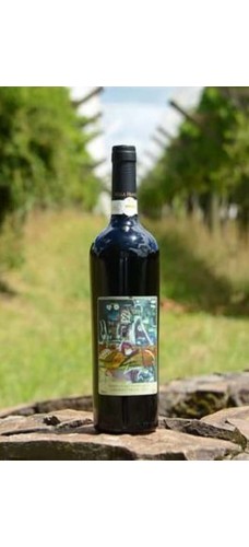 VILLA FRANCIONI VF CABERNET FRANC ALCEU BETT