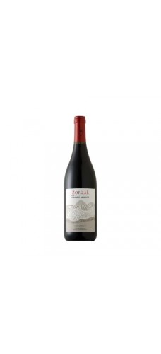 ZORZAL TERROIR ÚNICO Pinot Noir